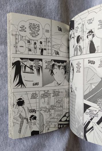 Nisekoi False Love vol.17 manga anime chitoge kirisaki onodera kosaki raku ichijou seishirou tsugumi