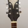 Epiphone Wildkat Image 3