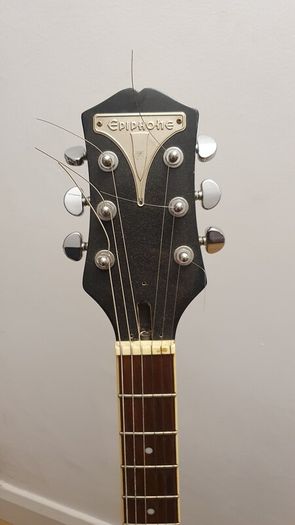Epiphone Wildkat