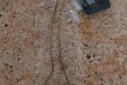 Bnwt necklace