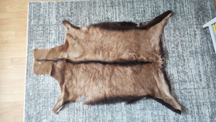 Genuine deer hide rugs