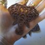 large wooden tribal elephant earrings Image 2