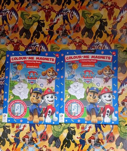 Paw Patrol colouring books x2