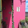 Dulix Weathershield Paint. 2.5L Tin. Fabulous bright pink! Image 8