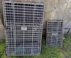 Salvia dog crates