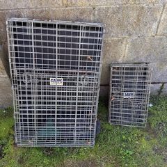 Salvia dog crates