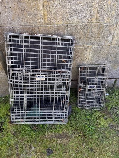 Salvia dog crates