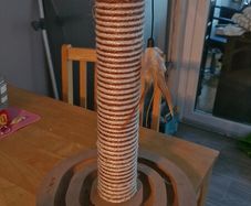 cat scratcher