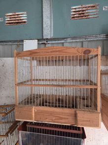 bird cages