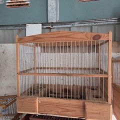 bird cages