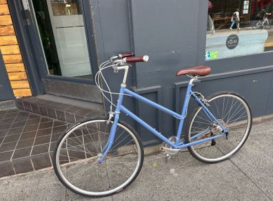 Temple Unisex Step through Bicycle