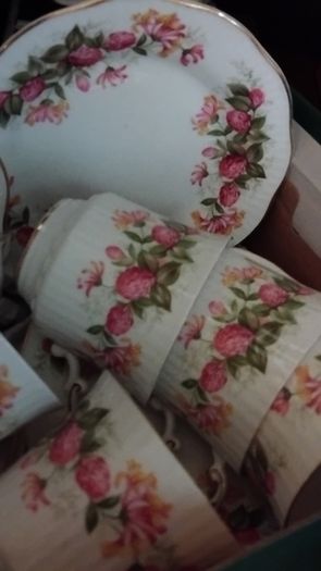 18piece Queens Woman And Home Rosina China Tea Set