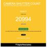 Nikon D500 kit with AF-S DX Nikkor 16-80 mm f/2.8-4E ED FR Image 8