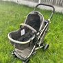 Double Tandem Buggy for Sale Image 4