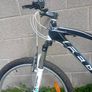 Ladies Felt bicycle MTB Image 10