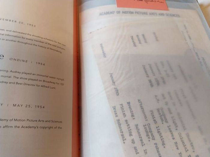 Audrey Hepburn Book