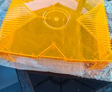 Transparent Orange Original Xbox Case