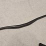 Bontrager Mtb Carbon Bars Image 3