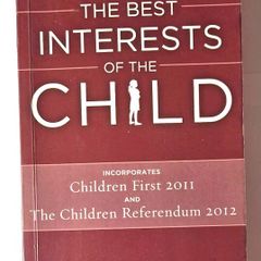 The Best Interests of the Child - 2nd Edition by Eileen McPartland