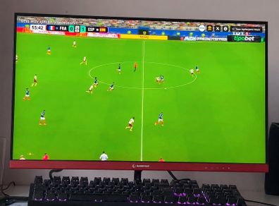 Gaming Monitor