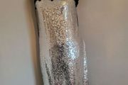 silver dress