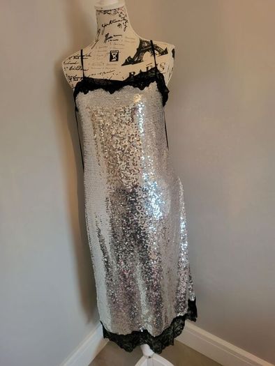 silver dress