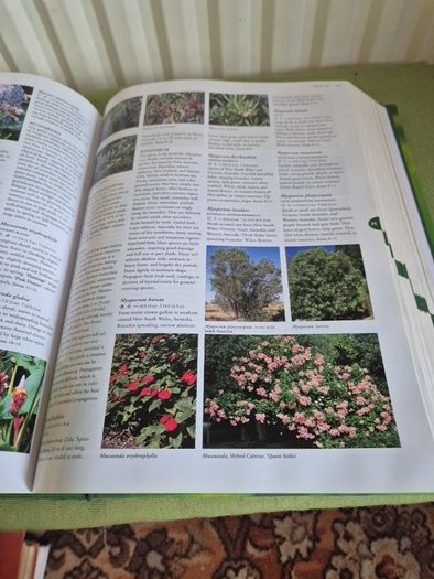 Flora The Gardener's Bible with CD