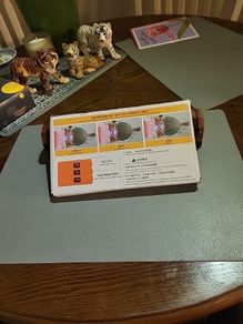 Geometry optics kit