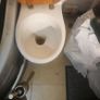 Toilet Image 5