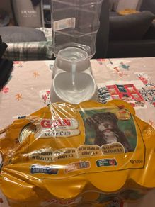 dog wet food