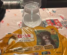 dog wet food