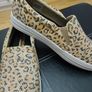 Sketchers New Image 2