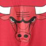 Official NBA Chicago Bulls T-Shirt Youth XL 18-20 Excellent condition Image 3