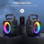 Karaoke Machine with Two Wireless Microphones, Portable Karaoke Machine Supports TF Card/USB, AUX in, FM, USB,TWS (Black) Image 6