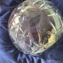 Galway Crystal Trifle Bowl Image 2