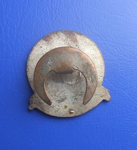 SHIP MODEL SOCIETY - a vintage membership badge (1950s). Scarce.