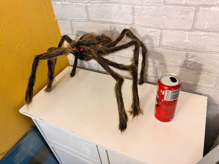 awesome new spider