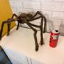awesome new spider Image 2