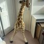 Giant Giraffe Soft Toy Image 2