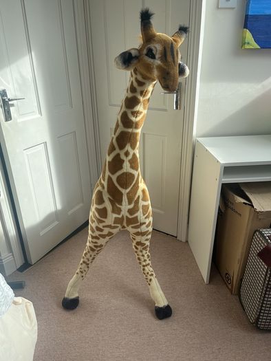 Giant Giraffe Soft Toy