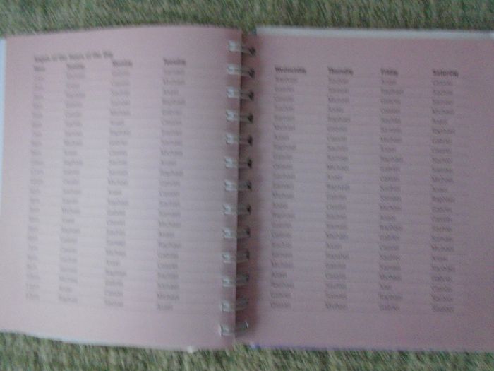 The Angel Book of Days,Vanessa Lampert,Hardback book, Angels
