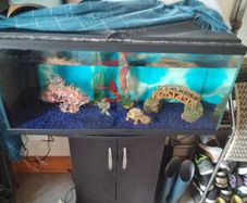 Aquarium