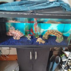 Aquarium