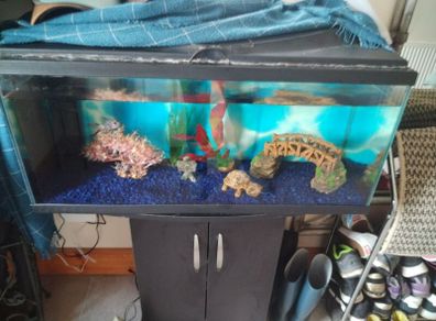Aquarium