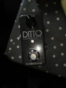 TC electronic ditto looper