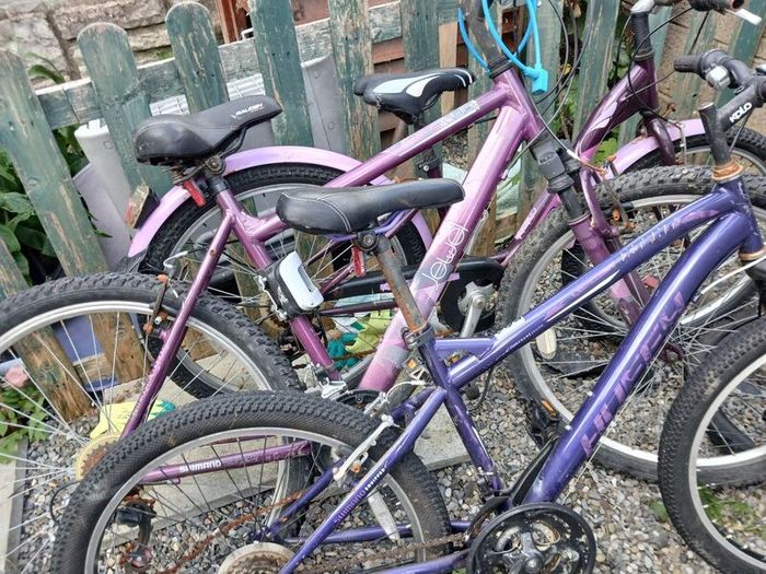 bikes