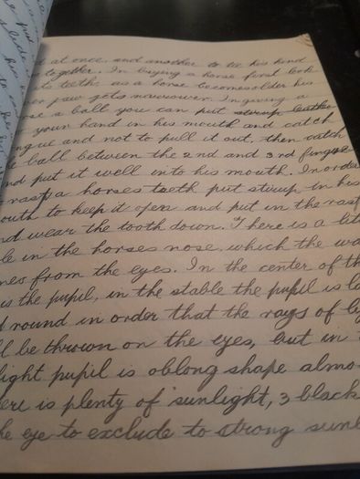 two hand written books