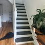 Carpets supplied and Fitted Image 2