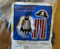 Halloween Costume