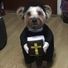 paudieM